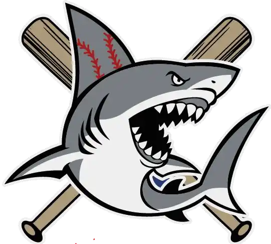 sharks logo no background